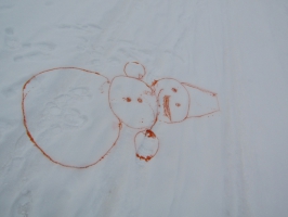 «Новогодний салют» Конкурс рисунков на снегу 